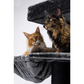 Giant XXL Cat Tree 19in x 69in Premium Multi-Level Cat Tower