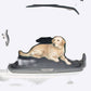 Expandable Car Seat Cover Net for Dogs Pet Safety Barrier Mesh Mesh Guard