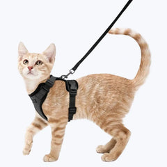 Cat Escape Proof Harness Adjustable Safety Vest