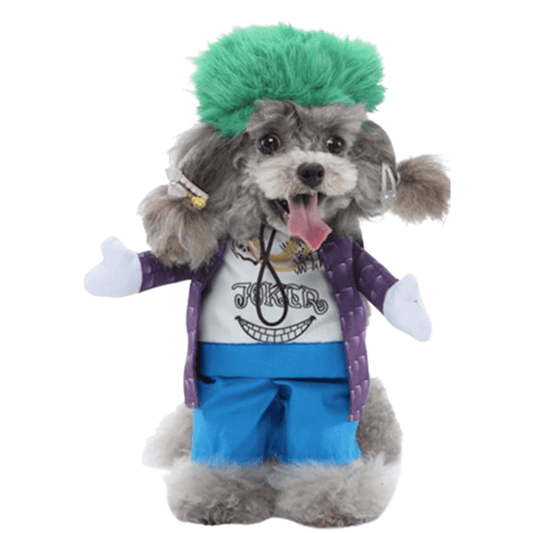 Joker Costume for Cats and Dogs Pet Halloween Outfit