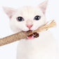 Matatabi Cat Dental Care Natural Oral Health Supplement