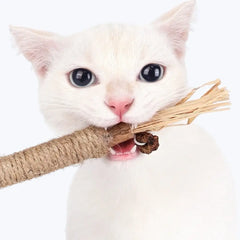 Matatabi Cat Dental Care Natural Oral Health Supplement