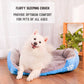 XXL Cotton Rectangular Dog Bed with Paw Print Design