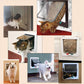 Dog Flap Door Pet Door for Dogs Easy Install Weatherproof Dog Gate