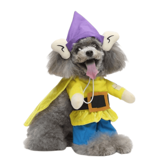 Simplet Costume for Cats and Dogs Pet Costume Pet Apparel