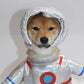 Astronaut Costume for Dogs and Cats Pet Space Suit Halloween Outfit