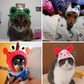 Animal Shaped Cat Hat Cute Kitty Costume Pet Accessory