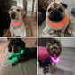 LED Dog Collar Bright Light Safety Night Running Adjustable Pet Collar