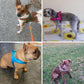 Dog T Harness Adjustable No Pull Pet Walking Harness