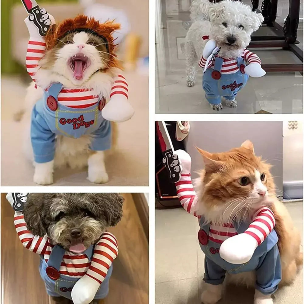 Chucky Cat Halloween Costume for Kids and Adults