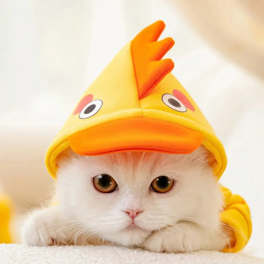 Cute Cat Hoodie Costume for Kids and Adults Animal Onesie Pajamas