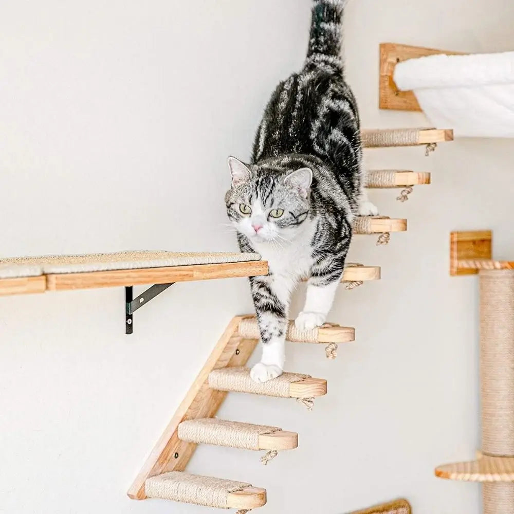 Cat Stair Steps for Pets Adjustable Pet Ramp Indoor Pet Ladder