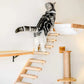 Cat Stair Steps for Pets Adjustable Pet Ramp Indoor Pet Ladder