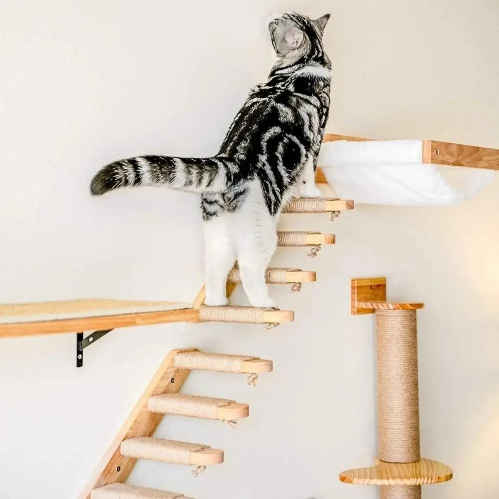 Cat Stair Steps for Pets Adjustable Pet Ramp Indoor Pet Ladder