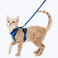 Cat Escape Proof Harness Adjustable Safety Vest