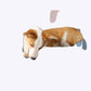 Soft Fluffy Fur Dog Couch Pet Bed Plush Comfortable Lounge