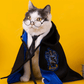 Harry Potter Cape Costume for Dogs and Cats Magical Pet Outfit