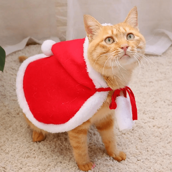 Santa Claus Cape Costume for Cat Christmas Pet Outfit
