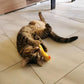 Mini Plush Cat Toys Soft Small Stuffed Toys for Kittens and Cats