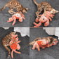 Interactive Pet Toy Crawfish Plush for Small Dogs Cats