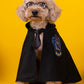 Harry Potter Cape Costume for Dogs and Cats Magical Pet Outfit