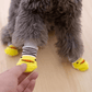 Dog Socks Yellow Striped Non Slip Pet Socks for Small Medium Dogs