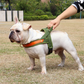 Dog T Harness Adjustable No Pull Pet Walking Harness