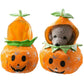 Pumpkin Costume for Dogs and Cats Halloween Pet Outfit