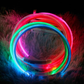 LED Dog Collar Bright Light Safety Night Running Adjustable Pet Collar