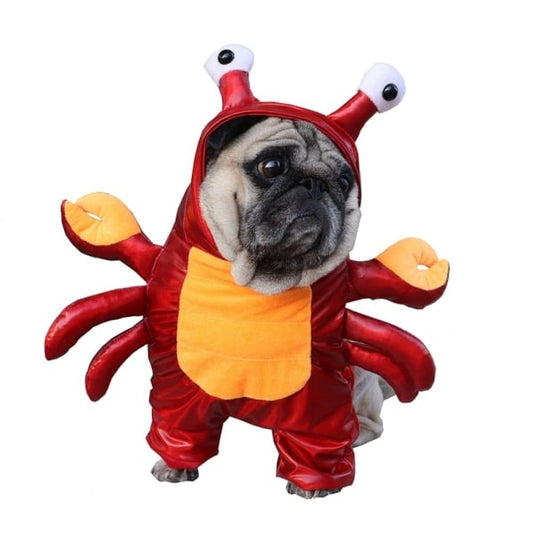 Crab Costume for Dogs and Cats Pet Halloween Outfit