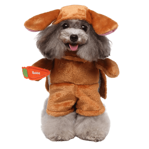 Pet Costume for Cats and Dogs Bunny Ears and Tail Set
