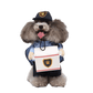 Pet Delivery Driver Costume for Cats and Dogs