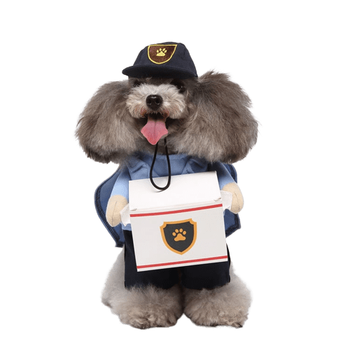 Pet Delivery Driver Costume for Cats and Dogs