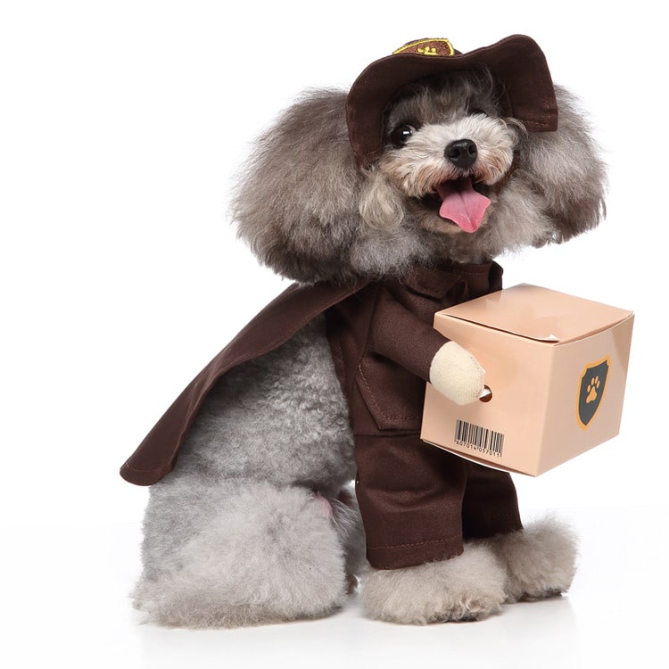 Pet Costume for Cats and Dogs Package Delivery Driver Outfit