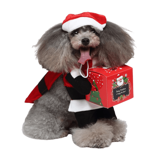 Santa Claus Costume for Dogs and Cats Pet Holiday Outfit