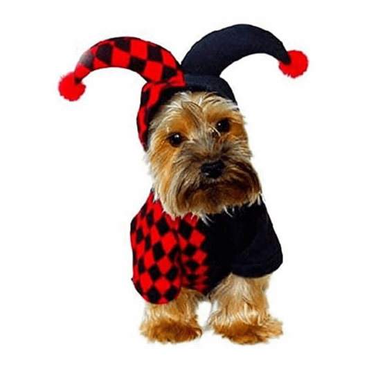 Crazy Costume for Dogs and Cats Pet Halloween Outfit