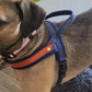 Dog T Harness Adjustable No Pull Pet Walking Harness