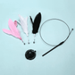 Cat Fishing Pole Toy with Suction Cup for Interactive Play