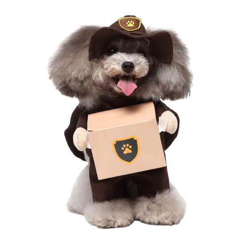 Pet Costume for Cats and Dogs Package Delivery Driver Outfit