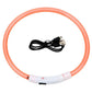 LED Dog Collar Bright Light Safety Night Running Adjustable Pet Collar