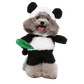 Pet Costume for Cats and Dogs Panda Animal Outfit