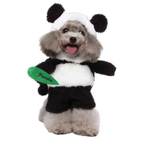 Pet Costume for Cats and Dogs Panda Animal Outfit