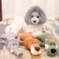 Ribbed Plush Sound Toy for Babies and Toddlers