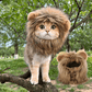 Lion Mane Wig Costume for Cat Pet Halloween Dress Up