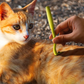 Plastic Tick Remover Tool for Dogs and Cats Pet Flea Tick Removal Kit