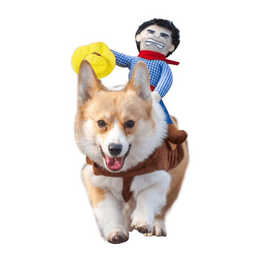 Rodeo Costume for Dogs and Cats Pet Halloween Outfit