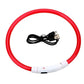LED Dog Collar Bright Light Safety Night Running Adjustable Pet Collar